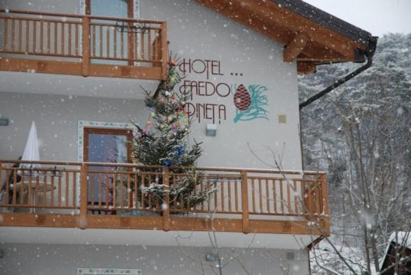 Hotel Faedo Pineta Szoba fotó