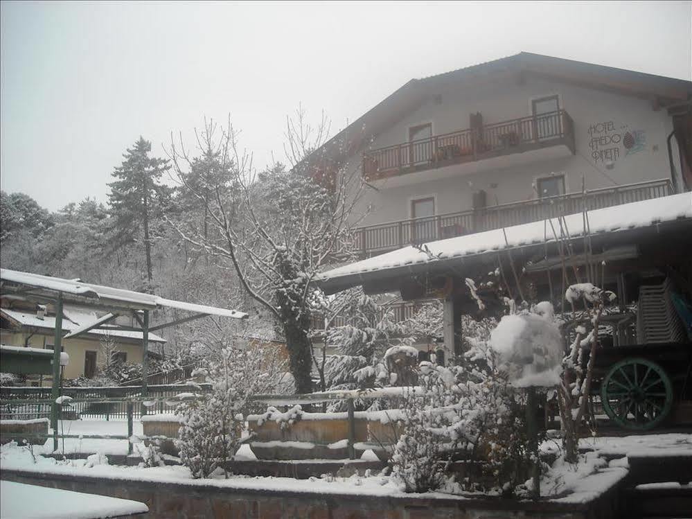 Hotel Faedo Pineta Kültér fotó